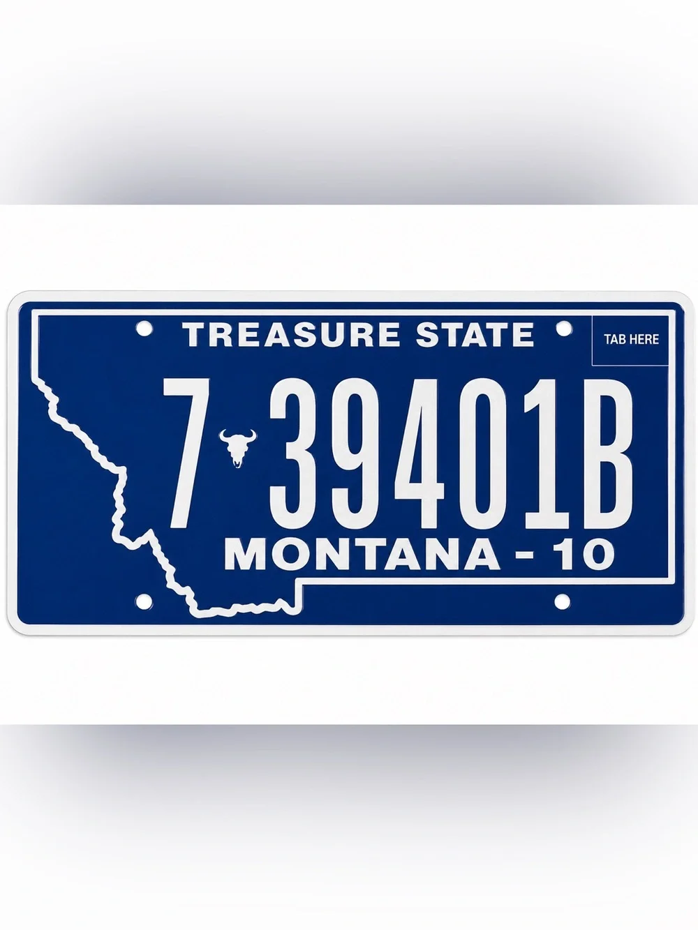 Montana Treasure State License Plate